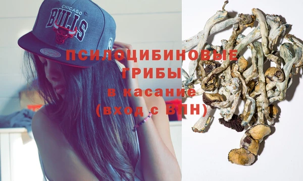 MESCALINE Аркадак