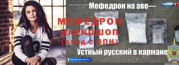 гашик Арсеньев